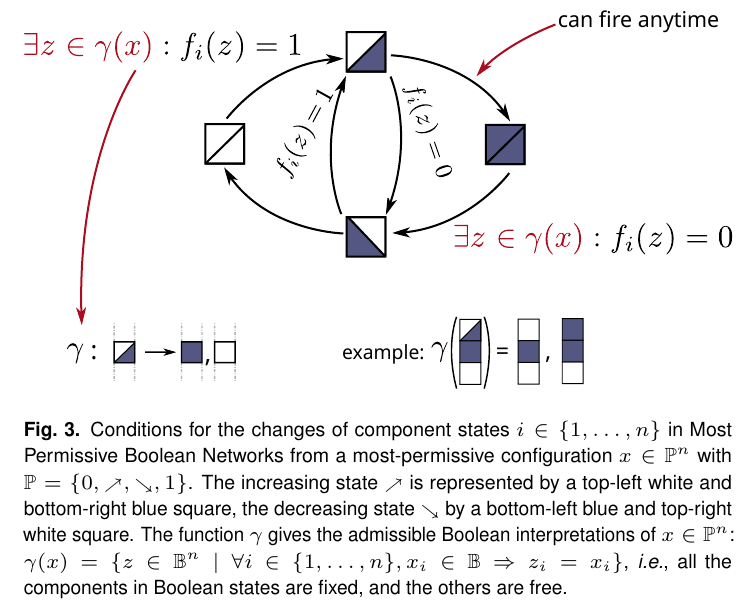 Transitions between states in a Most Permissive Boolean Network
